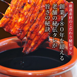 うなぎ蒲焼お試し娘(おためしむすめ)うなっ娘&大五蒲焼きお試しセット
