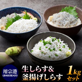 楽天市場 生ちりめん 生しらす 産地 都道府県 静岡 人気ランキング1位 売れ筋商品