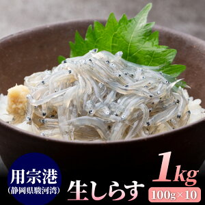 炷1kgi100g×10pbNj 炷 VX VX  e p@ É x͘p Yn Ⓚ 