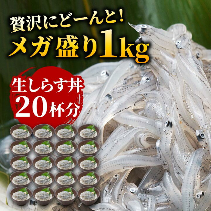 1299円 【特別セール品】 愛媛 佐田岬産 生しらす 1kg 100g×10p 小分け 冷凍便 送料無料 浜から直送 無添加 無着色 宇和海の幸問屋 1299円 【特別セール品】 愛媛 佐田岬産 生しらす 1kg 100g×10p 小分け 冷凍便 送料無料 浜から直送 無添加 無着色 宇和海の幸問屋
