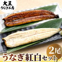 うなぎ 紅白2尾セット 国産うなぎ長蒲焼（中）＆ 白焼き 各1尾 ギフト うなぎ 鰻 ウナギ 蒲焼き 蒲焼 うなぎ蒲焼 国産 ギフト 食べ物 グルメ 誕生日 お祝い 内祝い 結婚祝い 結婚内祝い 出産祝い 出産内祝い 真空パック 自社製造 送料無料