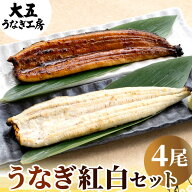 うなぎ 紅白4尾セット 国産うなぎ長蒲焼（中）＆ 白焼き 各2尾 ギフト 鰻 ウナギ 蒲焼き 蒲焼 国産 プレ…
