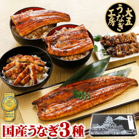 うなぎ 国産 蒲焼き 3種セット 長蒲焼1尾＆カット蒲焼2枚＆きざみうなぎ1パック 焼き肝串プレゼント ギフト 国産 蒲焼 内祝 御礼 御祝 お返し 誕生日 お祝い 結婚内祝い 熨斗 のし 風呂敷 グルメ 鰻 ウナギ 自社製造