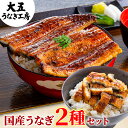 お中元 ギフト うなぎ 国産うなぎ蒲焼き2種セット （長焼き(大)1尾＆きざみうなぎ2パック） プレゼント うなぎ蒲焼 国産 蒲焼き 御祝 内祝 誕生日 食べ物 グルメ 冷凍 ひつまぶし きざみうなぎ