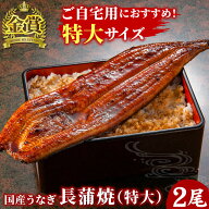 国産うなぎ長蒲焼 特大サイズ2尾セット 土用の丑の日 土用 丑の日 土用丑 鰻 うなぎ 蒲焼き 蒲焼 国産 お…
