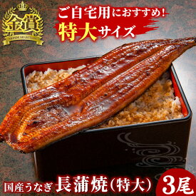 国産うなぎ長蒲焼 特大サイズ3尾セット 鰻 うなぎ 蒲焼き うなぎ蒲焼 蒲焼 土用の丑の日 土用丑 国産 お取り寄せ グルメ 食べ物 自宅用 冷凍食品 免疫力アップ 送料無料
