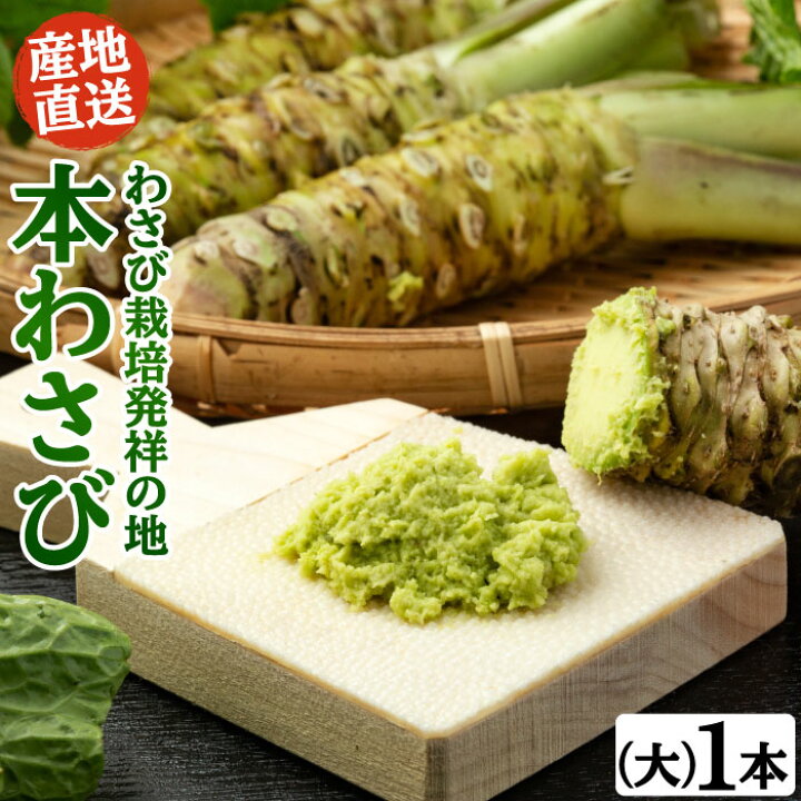 楽天市場】本わさび 大サイズ1本（60g〜100g） 本わさび 生わさび 
