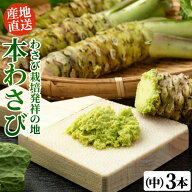 本わさび 中サイズ 3本セット（1本40g〜60g） わさび ワサビ 山葵 本わさび 生わさび 有東木 わさびめし …