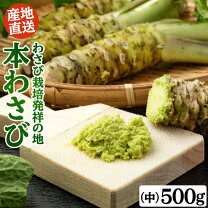 楽天市場】長野 県 安曇野 わさび（生わさび｜調味料）：食品の通販