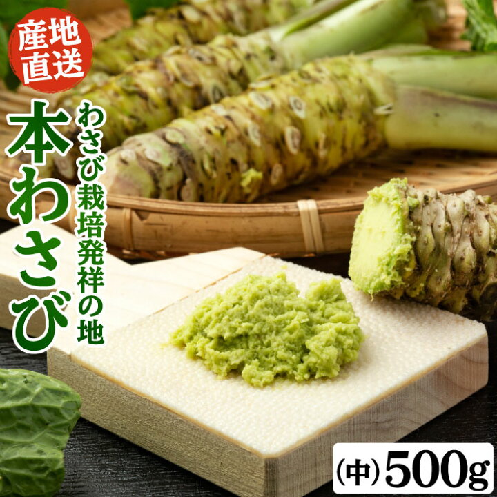 楽天市場】本わさび 中サイズ 500gセット（9本〜12本） 本わさび 