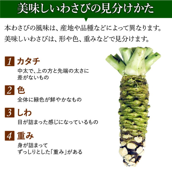 楽天市場】本わさび 大サイズ1本（60g〜100g） 本わさび 生わさび 