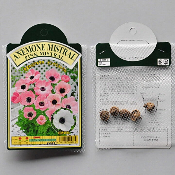 楽天市場 アネモネ ピンクミストラル 約50g 球根 5球入り袋詰め アネモネ 秋植え 球根 販売 通販 種苗 花苗 球根の専門店 大郷屋 楽天市場 アネモネ ピンクミストラル 約50g 球根 5球入り袋詰め アネモネ 秋植え 球根 販売 通販 種苗 花苗 球根の専門店 大郷屋