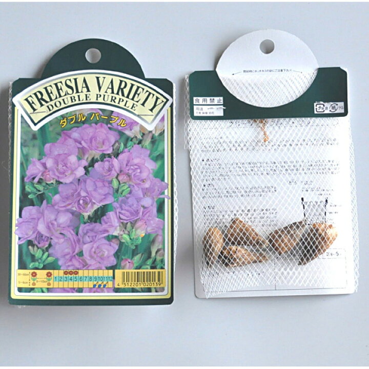 楽天市場 フリージア 八重咲き ダブルパープル 紫 球根 5球入り袋詰め フリージア 秋植え 球根 販売 通販 種苗 花苗 球根の専門店 大郷屋