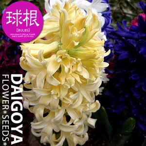 qVX Ԓd܋l yz3i14cmj_qVX_qAVX_HA__̔_ʔ_