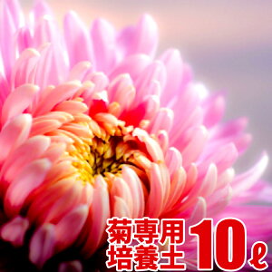 e̎̔|{y 10L 勽IWiuh|{y A̓y