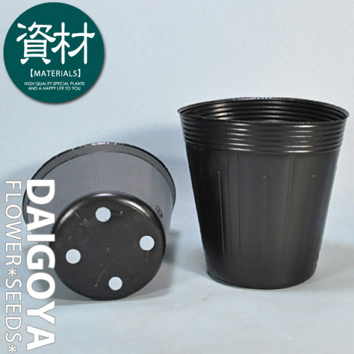 楽天市場】ポリポット深鉢 12cm 黒 100個 : 種苗・花苗・球根の専門店  