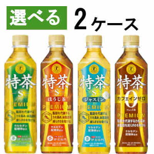 yIׂ2P[Xz ɉEq e Tg[ 500ml ybg 48{