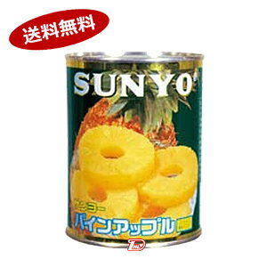 �y1�P�[�X�z�p�C���X���C�X 10�� �T�����[ 565g 24��