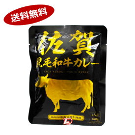 【送料無料1ケース】佐賀黒毛和牛カレー　響　160g×30個入★一部、北海道、沖縄のみ別途送料が必要となる場合があります