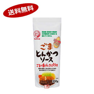 y1P[Xz܂Ƃ񂩂\[X uhbN 300g 10{