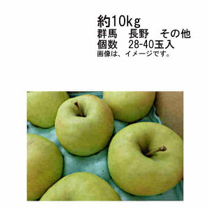 yzܖ@쌧Y@10kg@28-40ʁꕔAkCÂݕʓrKvƂȂꍇ܂