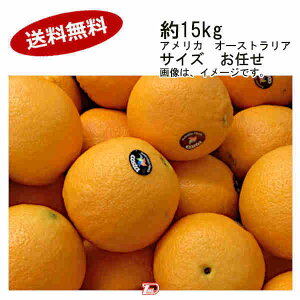 yzl[uIW@AJ@I[XgA@15kg@TCY@CꕔAkCÂݕʓrKvƂȂꍇ܂