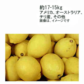 【送料無料】輸入レモン（防ばい剤使用）　アメリカ　オーストラリア　チリ産　その他　約15-17kg　95-165玉★一部、北海道、沖縄のみ別途送料が必要となる場合があります