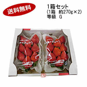 yz ܂  G Y 270g×2pbNꕔAkCÂݕʓrKvƂȂꍇ܂