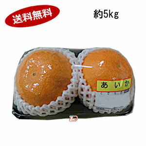 yz Q 5kg TCYC 󂠂iꕔAkCÂݕʓrKvƂȂꍇ܂