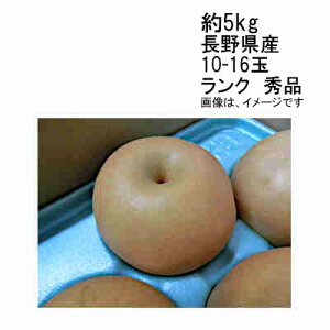yz쐅 쌧 5kg 10-16 GiꕔAkCÂݕʓrKvƂȂꍇ܂