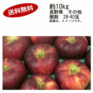 yzHf ΂ 쌧 ̑ 10kg 28-40ʁꕔAkCÂݕʓrKvƂȂꍇ܂