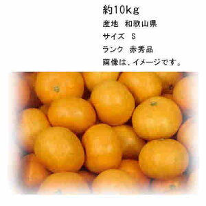 yzLcY c݂ a̎R 10kg TCY S ԏGi