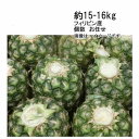 【送料無料】トップレス　パイン　パイナップル　フィリピン　約15-16kg　個数　お任せ★一部、北海道、沖縄のみ別途…