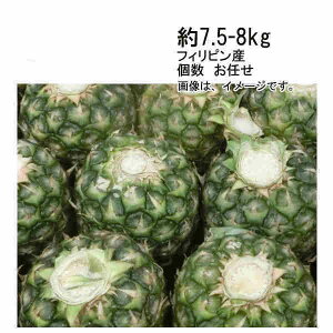�y���������z�g�b�v���X �p�C�� �p�C�i�b�v�� �t�B���s�� ��7.5-8kg �� ���C��