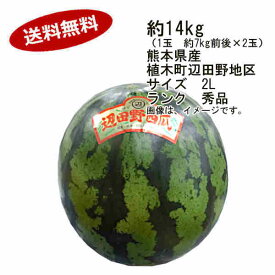 【送料無料】紅まくら西瓜　すいか　熊本県　植木町辺田野地区　2玉　合計　約14kg　サイズ　2L　ランク　秀品★一部、北海道、沖縄のみ別途送料が必要となる場合があります