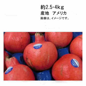 yzUN AJY 2.8-4kgꕔAkCÂݕʓrKvƂȂꍇ܂