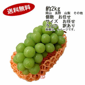 yzVC}XJbg Ԃǂ 2kg  C TCY C N 󂠂iꕔAkCÂݕʓrKvƂȂꍇ܂