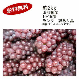楽天市場 デラウェア訳ありの通販