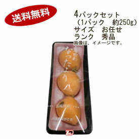 楽天市場 びわ 長崎 なつたよりの通販