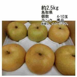 yzVÐ  挧 2.5kg  4-10O N GiꕔAkCÂݕʓrKvƂȂꍇ܂