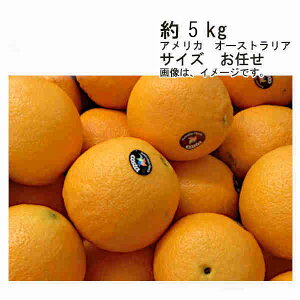 yzl[uIW@AJ@I[XgA@̑@5kg@TCY@CꕔAkCÂݕʓrKvƂȂꍇ܂