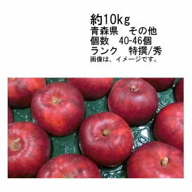 【送料無料】紅玉　りんご　青森県　その他　約10kg　個数　約40-46玉　ランク　特撰/秀★一部、北海道、沖縄のみ別途送料が必要となる場合があります