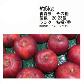 【送料無料】紅玉　りんご　青森県　その他　約5kg　個数　約20-23玉　ランク　特撰/秀★一部、北海道、沖縄のみ別途送料が必要となる場合があります