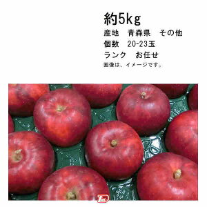 yzg  X ̑ 5kg  20-23 N CꕔAkCÂݕʓrKvƂȂꍇ܂