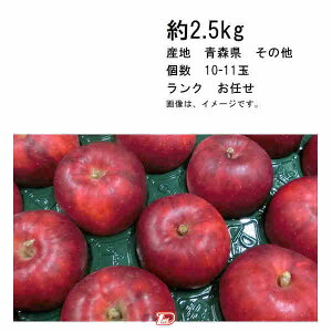 yzg  2.5kg X ̑  10-11 N CꕔAkCÂݕʓrKvƂȂꍇ܂