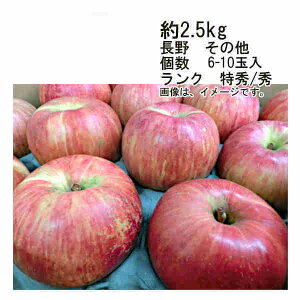 yzT  쌧Y ̑ 2.5kg  6-10ʑO N G/GꕔAkCÂݕʓrKvƂȂꍇ܂