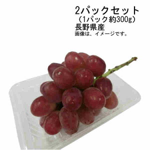 yzNC[[W Ȃ 炲OK Ԃǂ 쌧Y 2pbNZbg i1pbN300gjꕔAkCÂݕʓrKvƂȂꍇ܂