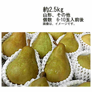 yzm i킨C R` ̑ 2.5kg 6-10ʑOずꕔAkCÂݕʓrKvƂȂꍇ܂
