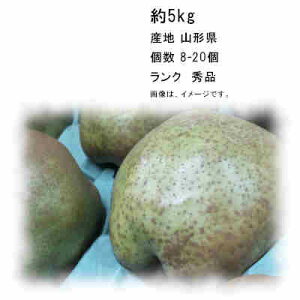 yztX R` 5kg 8-20ʓ GiꕔAkCÂݕʓrKvƂȂꍇ܂