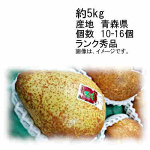 yz[l N[N X 5.0kg 10-16ʓ GiꕔAkCÂݕʓrKvƂȂ ꍇ܂